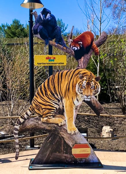 Akron Zoo Animal Sculpture with tiger, monkey, and red panda on tree