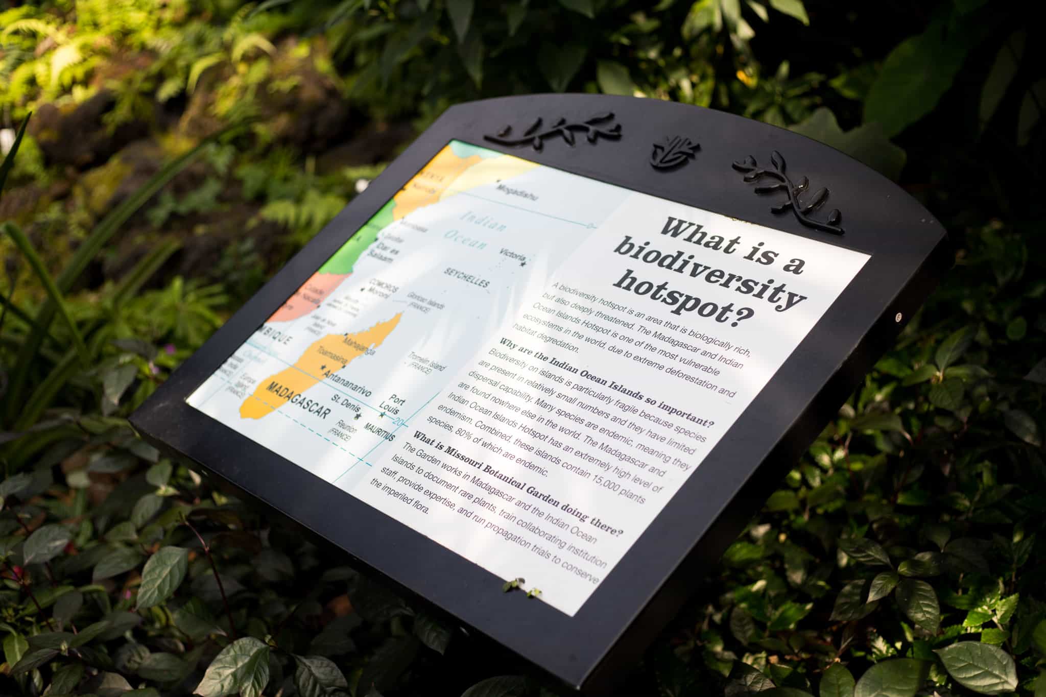 Interpretive sign teaching about biodiversity in plants