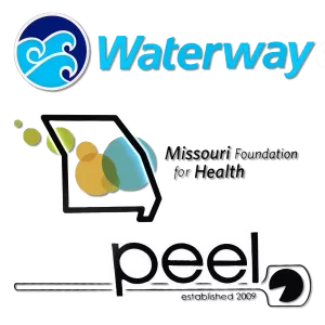 Different logo wall signs for lobby signs waterway carwash, peel pizza, and Missouri foundation for health