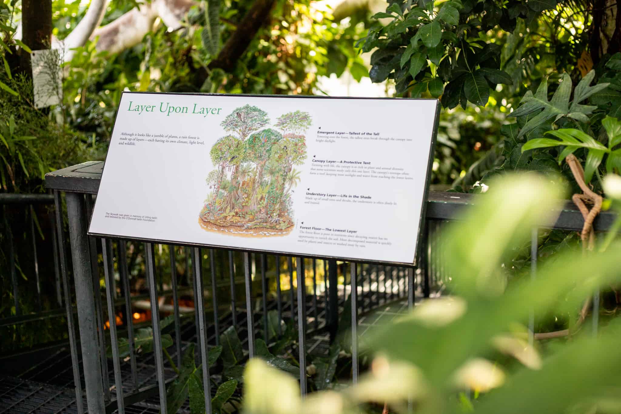 Easy to update interpretive signs showing plant growth chart