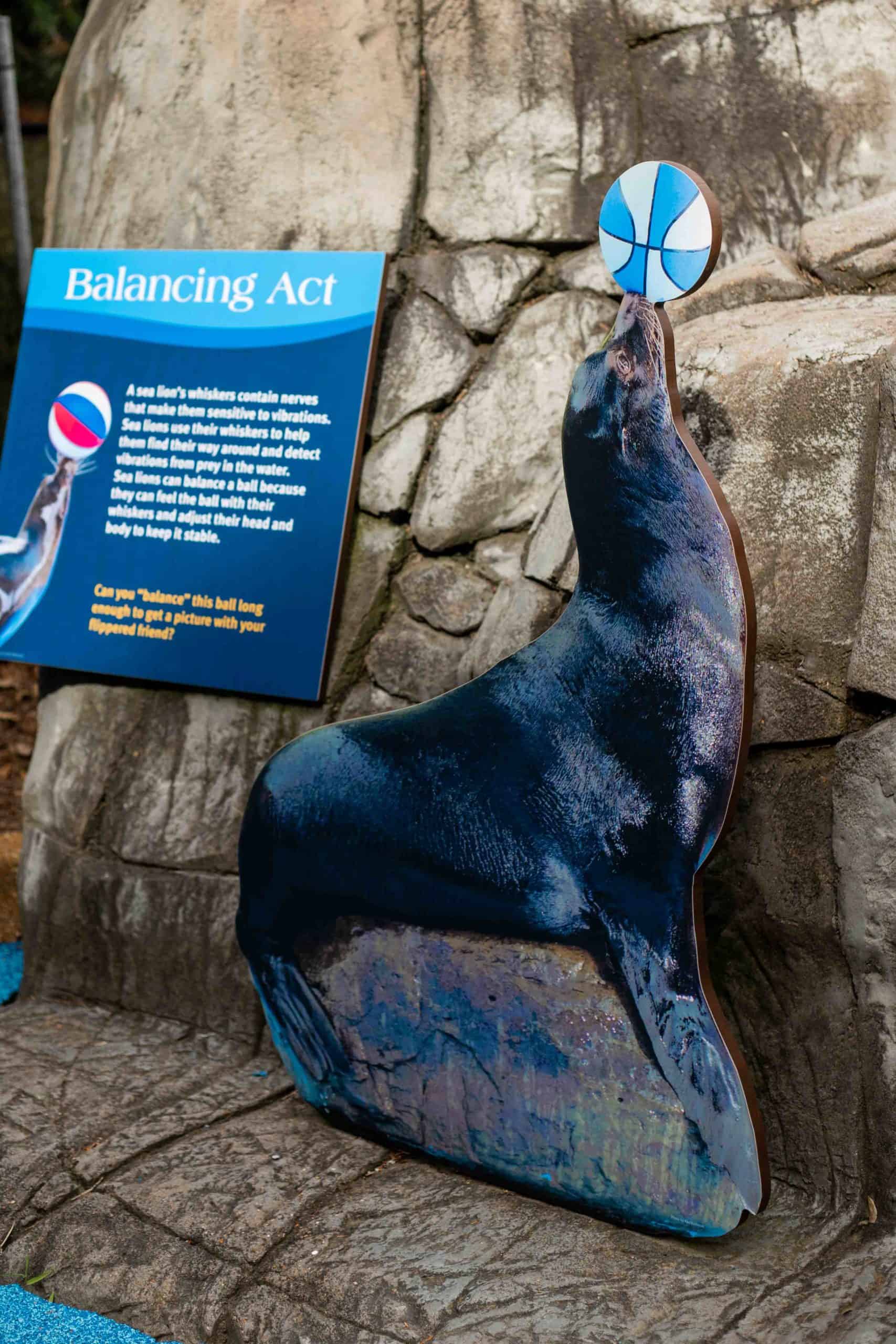 scultpurtal sea lion at zoo