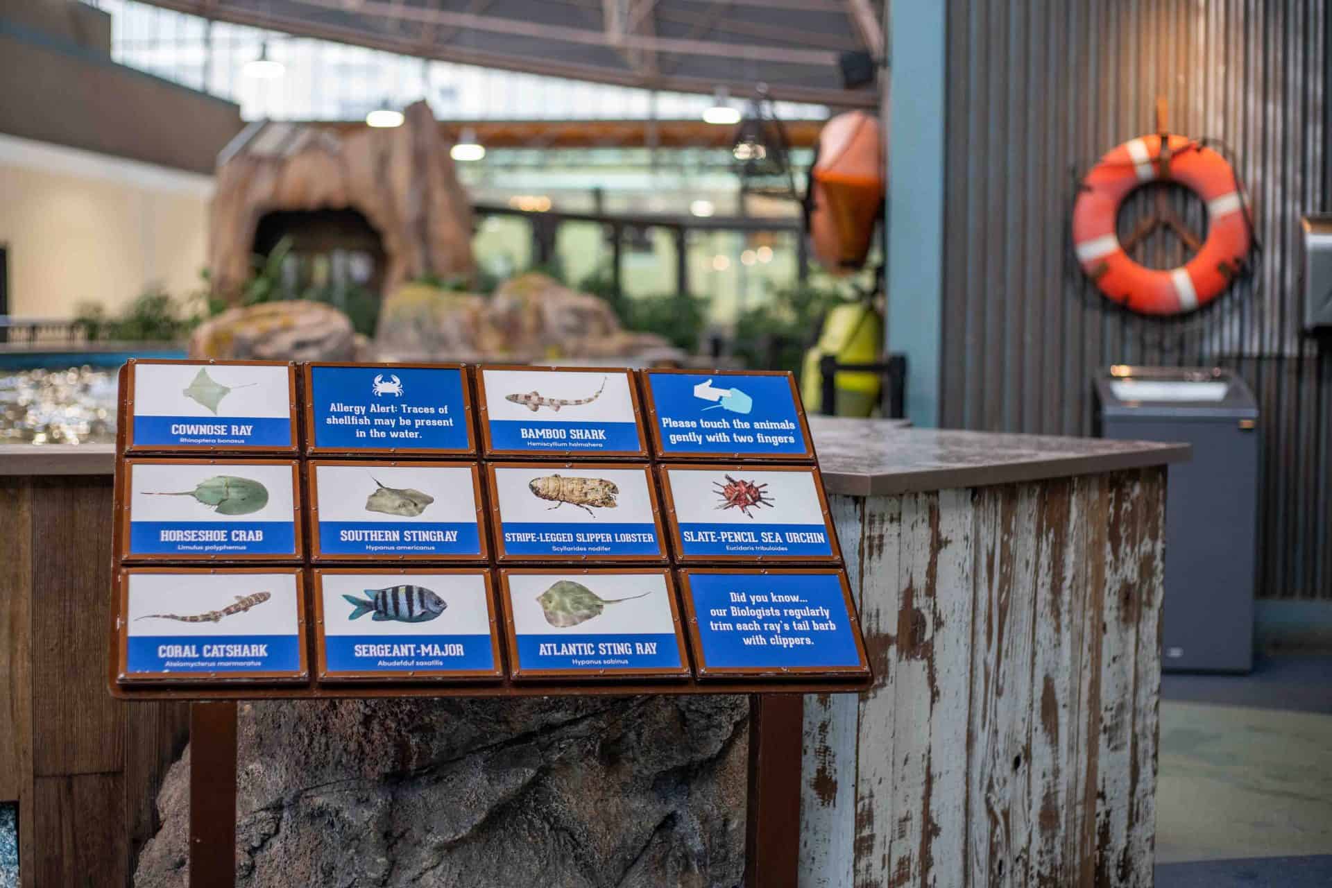 Custom signage at the St. Louis Aquarium animal interpretive displays
