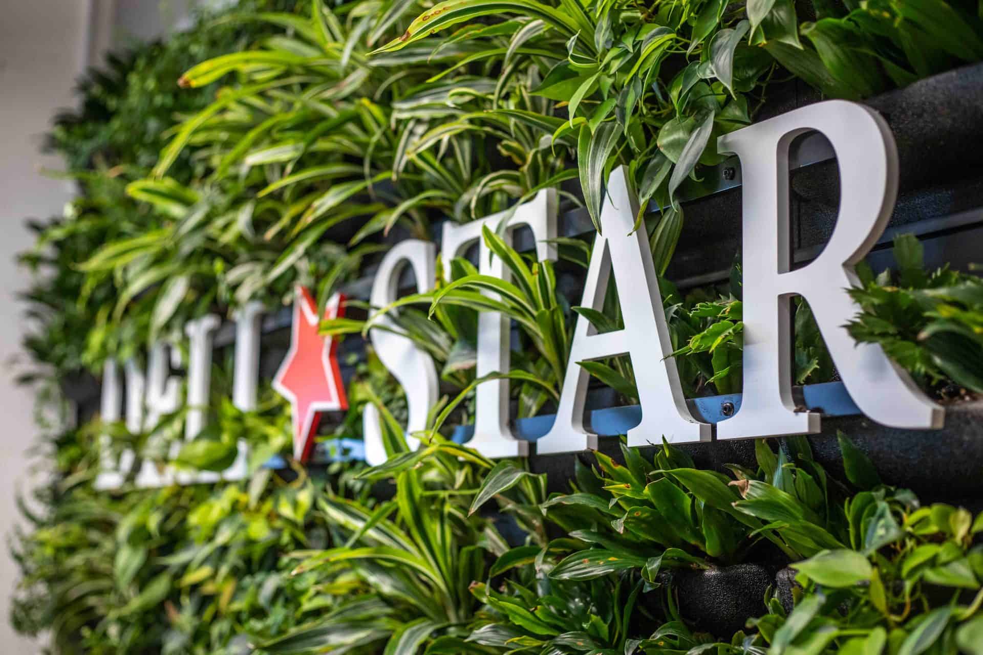 Custom Deli Star Lobby sign on real plant deep green wall