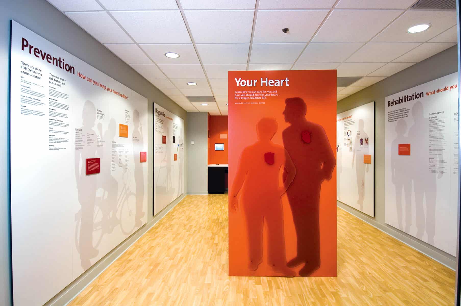 custom interpretive display for health care teaching about the heart with vinyl graphic designs